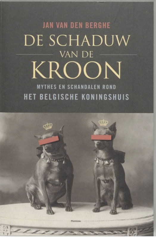 De Schaduw Van De Kroon