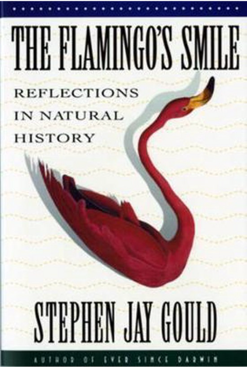 Flamingo'S Smile: Reflections in Natural History – boekcover – Stephen Jay Gould – ISBN 9780393303759 – paperback – als nieuw