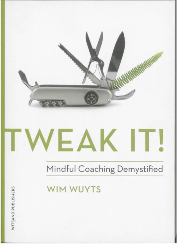 Tweak It!: Mindful Coaching Demystified