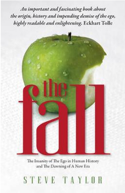 The Fall – boekcover – Steve Taylor – ISBN 9781905047208 – paperback – als nieuw