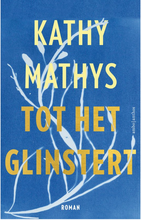 Tot het glinstert – boekcover – Kathy Mathys – ISBN 9789026366017 – paperback – als nieuw