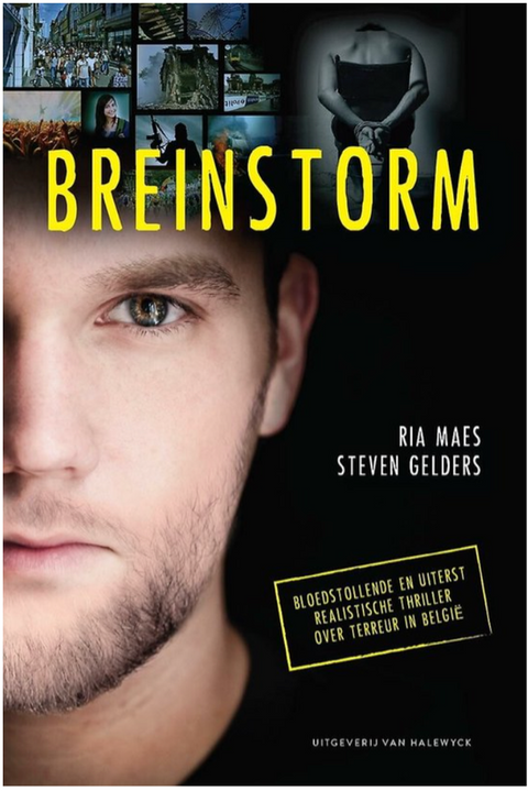 Breinstorm – boekcover – Ria Maes – ISBN 9789461313959 – paperback – als nieuw