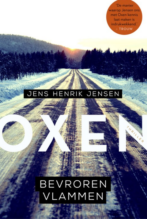 Bevroren vlammen – boekcover – Jens Henrik Jensen – ISBN 9789400512016 – paperback – goed