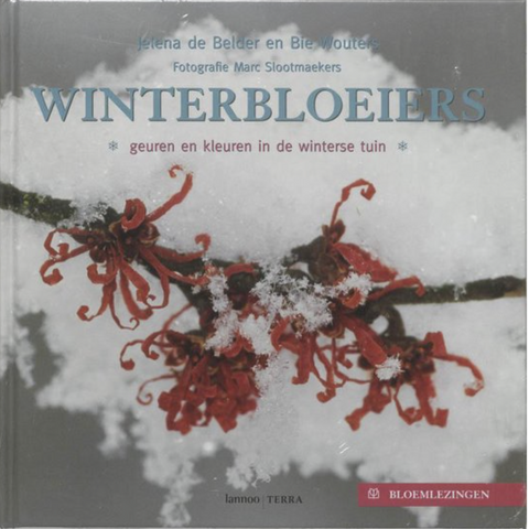 Winterbloeiers