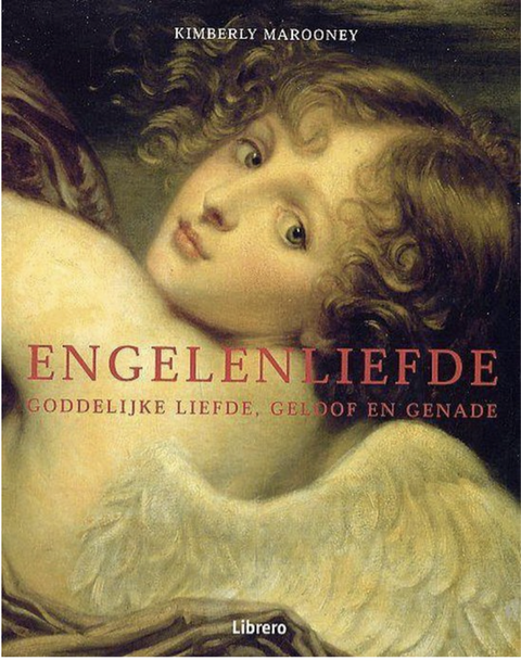 Engelenliefde – boekcover – Kimberly Marooney – ISBN 9789057645921 – box – nieuw