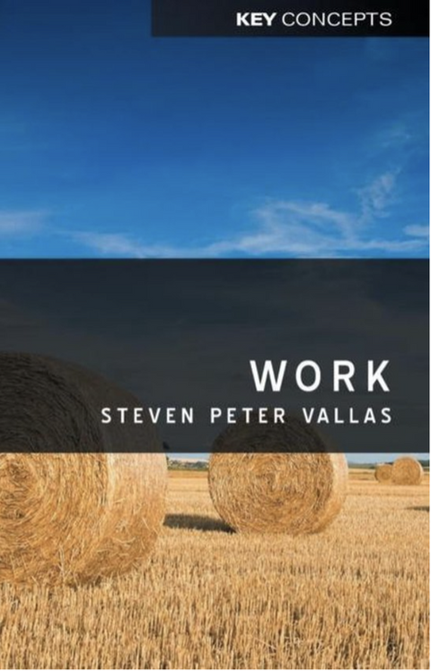 Work: A Critique
 – boekcover – Steven Vallas – ISBN 9780745646794 – paperback – als nieuw