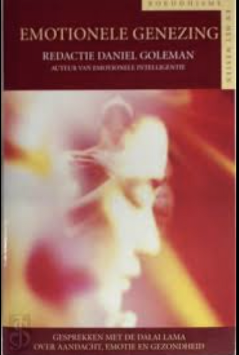 Emotionele Genezing – boekcover – Daniel Goleman – ISBN 9789038906966 – paperback – als nieuw