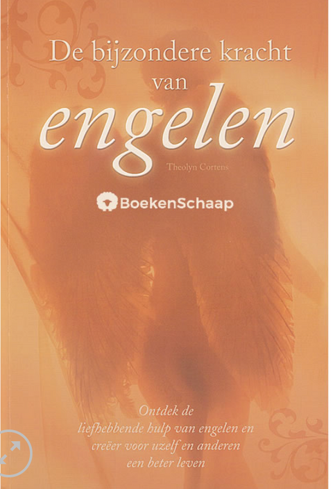 De bijzondere kracht van engelen – boekcover – Theolyn Cortens
 – ISBN 9789043814003 – paperback – als nieuw
