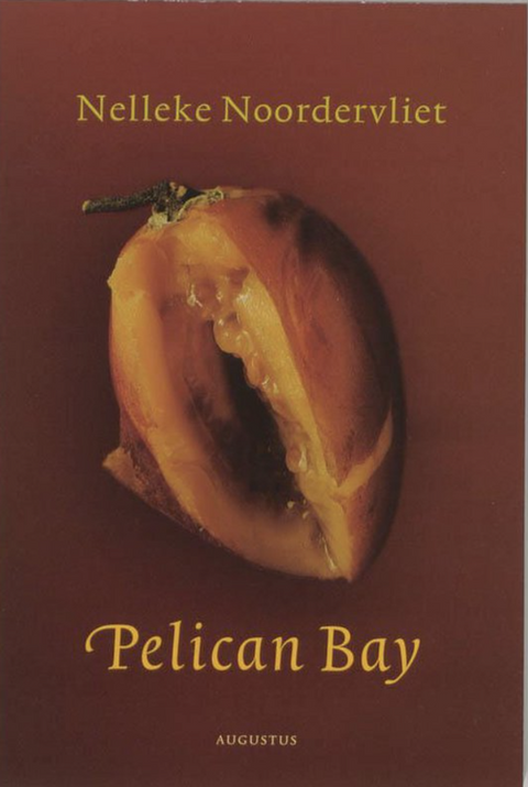 Pelican Bay – boekcover – Nelleke Noordervliet – ISBN 9789045700816 – paperback – als nieuw