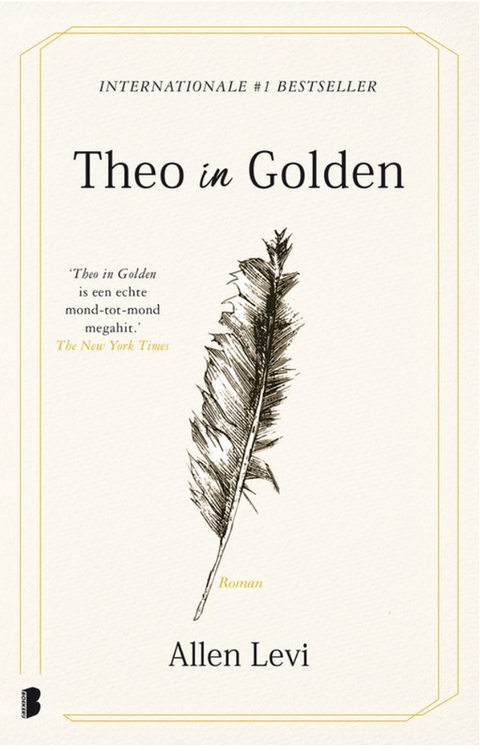 Tweedehands boek: Theo in Golden door Allen Levi - als nieuw hardcover