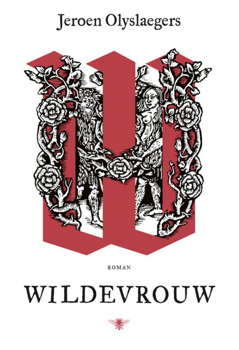 Tweedehands boek: Wildevrouw door Jeroen Olyslaegers - als nieuw hardcover