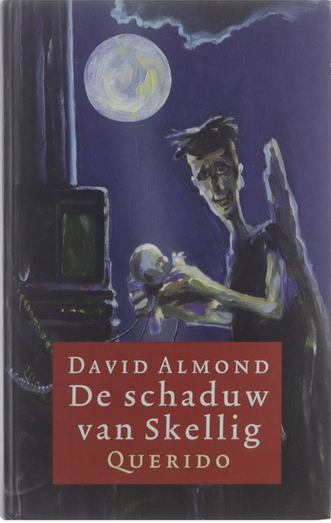 Tweedehands boek: Schaduw Van Skellig door David Almond - als nieuw paperback