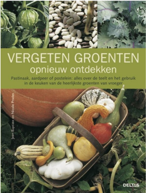 Tweedehands boek: Vergeten-groente-opnieuw-ontdekken door Jean-Baptiste Prades
 - als nieuw paperback