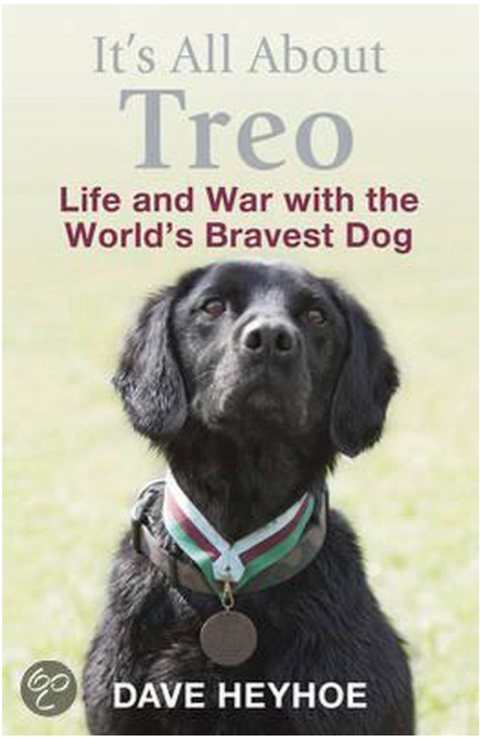 It's All About Treo – boekcover – Damien Lewis – ISBN 9781780873961 – hardcover – als nieuw