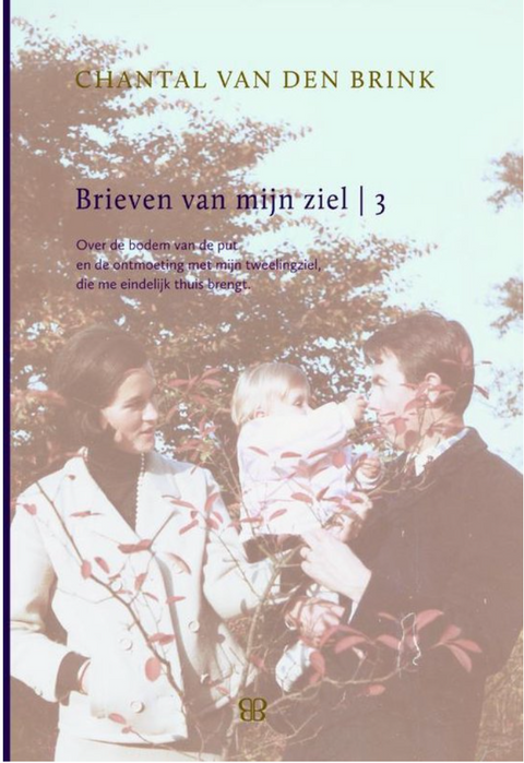 Brieven van mijn ziel 3 – boekcover – Chantal van den Brink – ISBN 9789081817226 – hardcover – als nieuw
