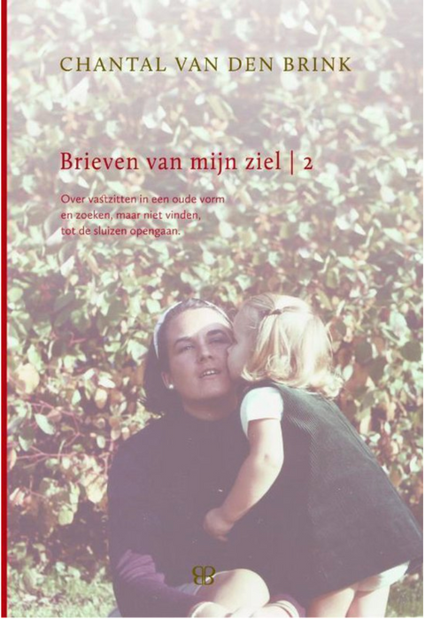 Brieven van mijn ziel 2 – boekcover – Chantal van den Brink – ISBN 9789081817219 – hardcover – als nieuw