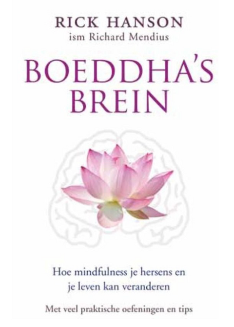 Tweedehands boek: Boeddha`s-brein:-hoe-mindfulness-je-hersens-en-je-leven-kan-veranderen
 door Rick Hanson - als nieuw paperback
