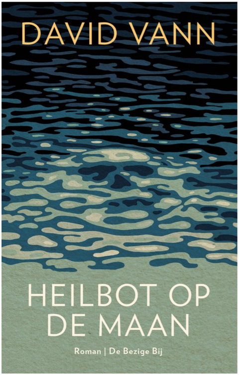 Heilbot op de maan – boekcover – David Vann – ISBN 9789403147703 – paperback – als nieuw
