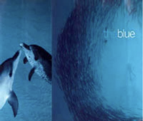 The Blue – boekcover – NB – ISBN 9780953703203 – hardcover – als nieuw