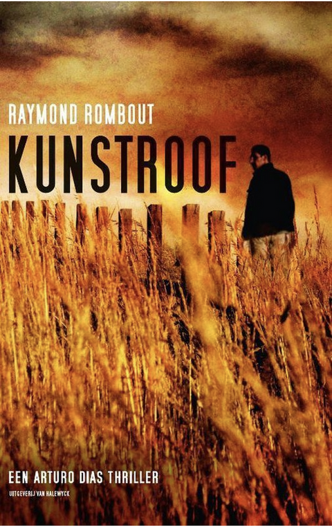 Kunstroof – boekcover – Raymond Rombout – ISBN 9789461311009 – paperback – als nieuw