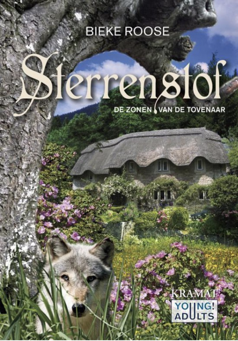 Sterrenstof 3 - De zonen van de tovenaar – boekcover – Bieke Roose – ISBN 9789462420175 – paperback – nieuw