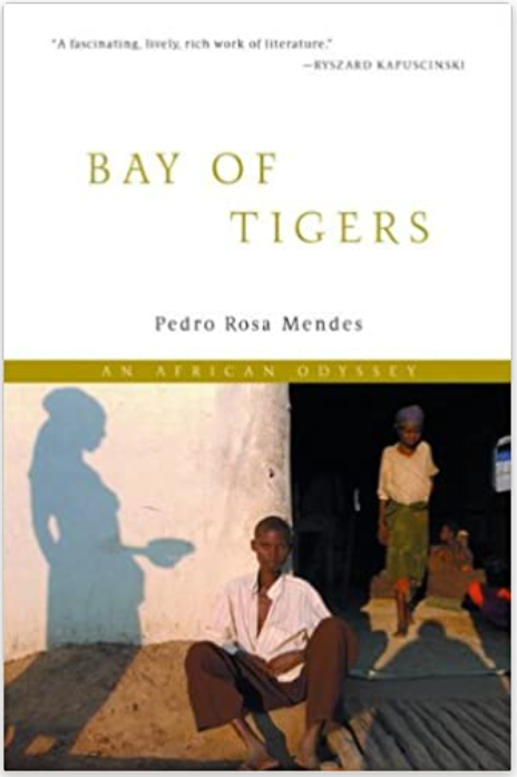Bay of Tigers: An African Odyssey