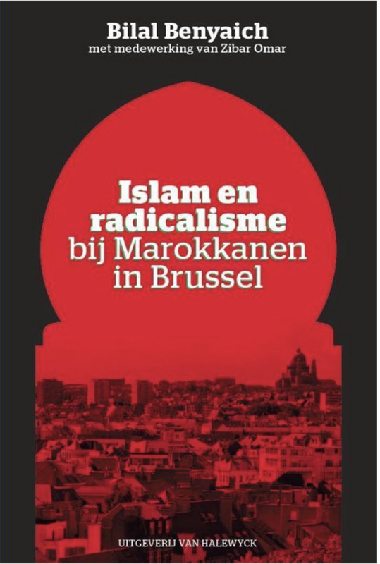 Islam en radicalisme bij Marokkanen in Brussel: Over Radicalisering, Islam En Marokkanen
