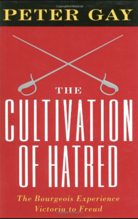 The Cultivation of Hatred – boekcover – Peter Gay – ISBN 9780393033984 – Hardcover – Als nieuw