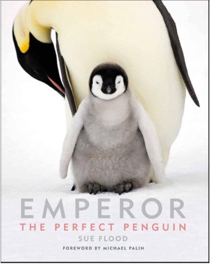 Emperor, the perfect penguin