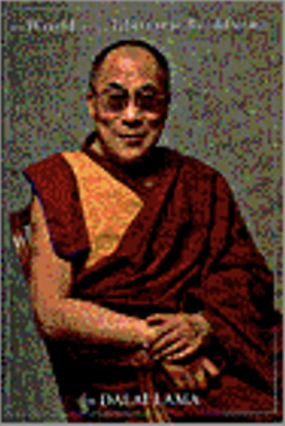 De wereld van het Tibetaanse boeddhisme